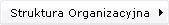 Struktura Organizacyjna